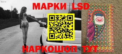 индика Будённовск