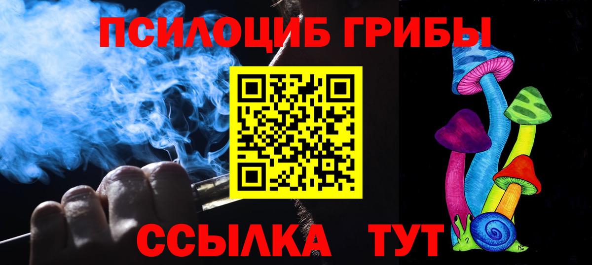 Саратов  Галлюциногенные грибы прущие грибы  Вход с VPN 
