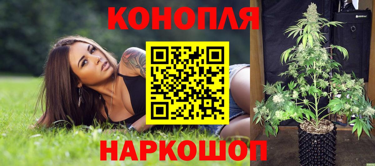 Бошки марихуана VHQ Саратов